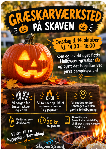 Efterårsferie Skaven Strand Camping